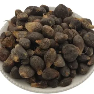 palm kernel